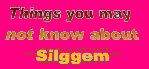 `things you may not know about silggem