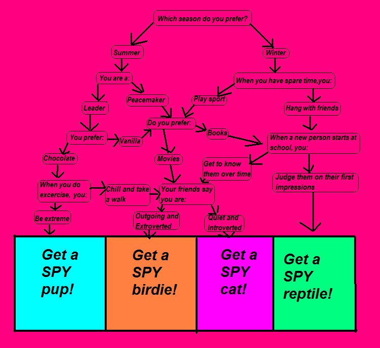 Spy pet Quiz